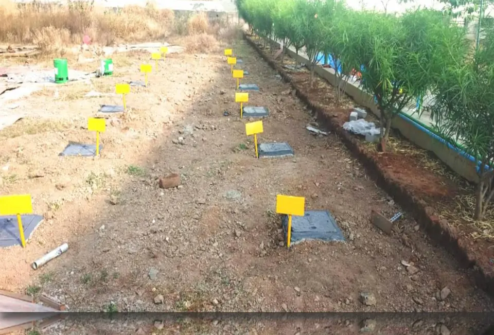 Earth pits with marking - MEP project by Chamunda Electromech